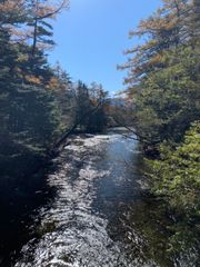 新品未使用】トリノライン 宮風夕梨 抱き枕カバー CD付き - メルカリ