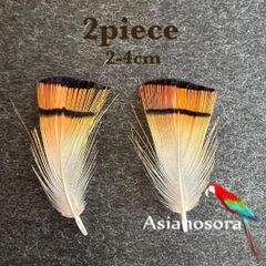 ◾️⭐︎【SS5】2枚セット 羽根 フェザー 鳥 パーツ 材料 アクセサリー 素材