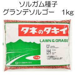 ソルガム種子　グランデソルゴー　1kg　タキイ種苗【種】緑肥の種　夏に強い緑肥