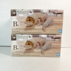 注目の 爬虫類一番くじ E賞、F賞、G ヒョウモントカゲモドキ脱皮中 B賞 その他