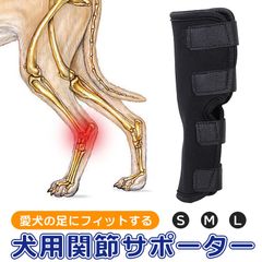 Item thumbnail for item f5ffc53d-5809-4723-a1d7-5fb04f99a292