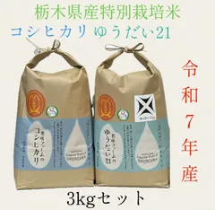 2025年最新】佐野雄大の人気アイテム - メルカリ