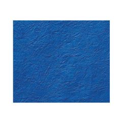 Item thumbnail for item c04d5df8-9a25-4b3d-823a-f2e3eeb970fb