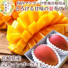 マンゴー 贈り物 内祝い 出産内祝い お祝い 謝礼  お礼 お見舞い 快気祝い お供え ご霊前 手土産ギフト ゴルフコンペ景品 ご結婚お祝い 結婚内祝い 寿 [宮崎完熟マンゴー2Ｌ2玉A]