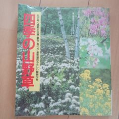 四季の山野草 エム・エー・シー 近藤嘉和