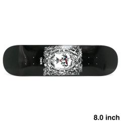 新品FLIP Lance Mountain スケートボードデッキ9.0 FLIP DECK フリップ デッキ LANCE MOUNTAIN LIONS 9.0（付属