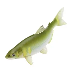 【中古】トレーディングフィギュア アユ 「NATURE OF JAPAN 日本のいきもの3」