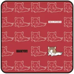 【中古】タオル・手ぬぐい 孤爪研磨(ケンマネコ) マスコットハンドタオル 「ハイキュー!!」