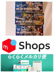 HG ビギニングガンダムセット　D 30
