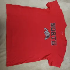 Tシャツ　THE NIKE TEE  NORTH