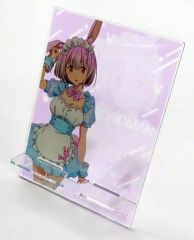 [중고] 잡화 신조 아카네 아크릴 멀티 스탠드 [추첨 코레 SSSS.GRIDMAN] C-2 상
