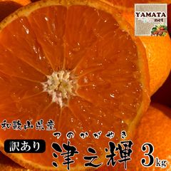 【予約】津之輝 みかん 和歌山県産 つのかがやき 訳あり 3kg 発送開始予定日:２月上旬〜