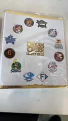 【ドリームオーダー】特製バインダー　ファイル　未開封
