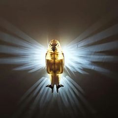 インテリア雑貨 おもしろ雑貨 オブジェ オーナメント 壁掛け照明 ブラケットライト ナイトライト ウォールランプ 鷹 イーグル 動物 北欧 おしゃれ お洒落 モダン 可愛い かわいい カッコいい かっこいい プレゼント 玄関 リビングルーム 寝室 子供部屋