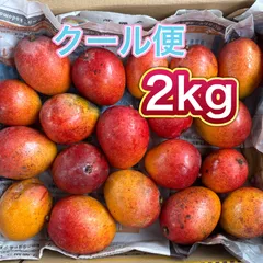 宮崎県産 完熟ミニマンゴー 2kg クール便 楽天市場】ミニマンゴー 宮崎の通販