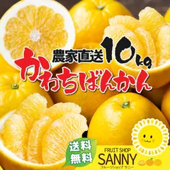 みかん 愛媛県産 河内晩柑 箱込10kg+保証分500g 訳あり （不ぞろい・不選別）のサムネイル