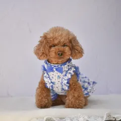 KALINA カリーナ 小花柄ワンピース