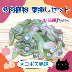 もも　PRADA パンダ型キーホルダー ストーン付き 楽天市場】PRADA プラダ パンダ キーホルダー キーリング バッグ