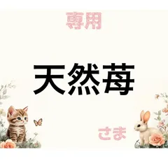 専用