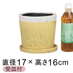 【新品】直径17.5cm クレイパ 植木鉢 おしゃれ かわいい 黄 貫入釉薬 受皿付 室内 屋内 多肉植物 観葉植物 小さい鉢