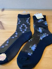 シースルーソックス