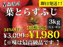 【大特価】青森県産 家庭用 訳あり りんご 葉とらずふじ 3.3kg以上☆