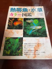 2025年最新】熱帯魚図鑑本の人気アイテム - メルカリ