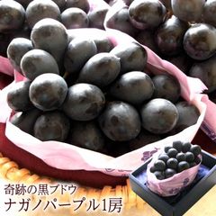 ナガノパープル ぶどう お取り寄せ ぶどうギフト お中元 暑中お見舞い 残暑お見舞い フルーツギフト お取り寄せ 種無しぶどう 長野県産 [ナガノパープル1房] 500g