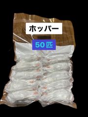 W　送料無料 冷凍マウスリタイア50匹ホッパー50匹 楽天市場】ホッパー 冷凍マウスの通販