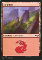 【中古】マジックザギャザリング 0090[L]：【J25】Mountain/山