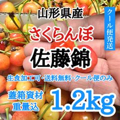 【1.2kg・クール便】山形県産 さくらんぼ 佐藤錦 1.2kg 生食加工可