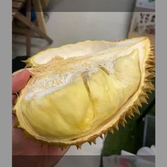 約　5kg　硬い桃　山梨県産　冷蔵便発送　đào cứng 約 5kg 硬い桃 山梨県産 冷蔵便発送 đào cứng - メルカリ