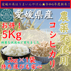 令和6年度　無農薬栽培　新米【玄米・白米選べます】愛媛県産　お米　コシヒカリ　5kg