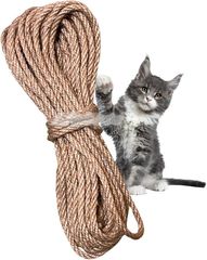 Item thumbnail for item be5baa4a-bda4-440b-a381-48b8d30ca3d2