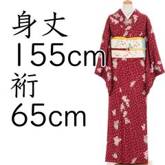 メンディーさま水芭蕉の苗5株 - メルカリ