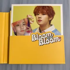 THE BOYZ(ザ・ボーイズ・ドボイズ) アルバム Bloom Bloom トレカ 含め フルセット FULL SET ソヌ(SUNWOO) キュー(Q・チャンミン)