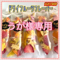 【うが様専用】ドライフルーツフレーバー5