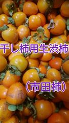 干し柿つくりませんか？？南信州特産『市田柿』の原料生柿販売中！！