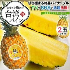 台湾産パイナップル「極」 2玉 Mサイズ
