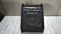2025年最新】ROLAND PM-10の人気アイテム - メルカリ