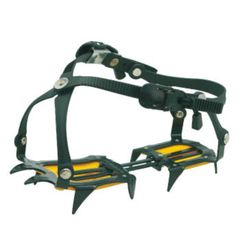 Item thumbnail for item 3dc4185b-9d4b-4c8e-a1c8-7f30588474eb