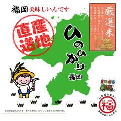 令和6年 新米 ヒノヒカリ 玄米 10kg  送料無料 安い ひのひかり うまい