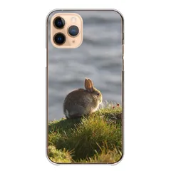 Android One S9 ケース カバー アンドロイドワンS9 スマホケース ハードケース うさぎ ウサギ 兎 ラビット 子兎 野ウサギ かわいい 可愛い 写真 カメラマン カラー03