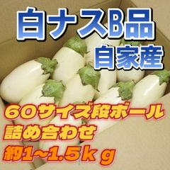 A-STYLE自家産白ナストルコナスとろーり旨なすA品B品MIX60サイズ ショップアカウントではゆうゆうメルカリ便で送れないため沖縄への発送は出来かねます、個人アカウントよりご購入頂けましたら発送可能ですので出品致しましたらそちらよりよろしくお願いいたします