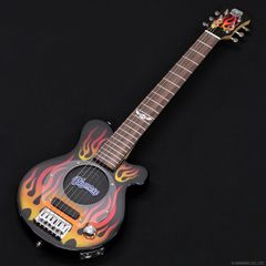 [新品] Pignose　PGG-200FP1 BK