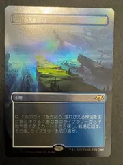 mtg 溢れかえる岸辺　４枚　ボーダーレス　日本語　モダンホライゾン3 MTG モダンホライゾン3 溢れかえる岸辺 ボーダーレス 4枚 220