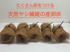 めだかの産卵床5個　天然素材　ヤシ繊維