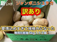 新じゃが訳あり　ジャンボニシユタカ　10kg