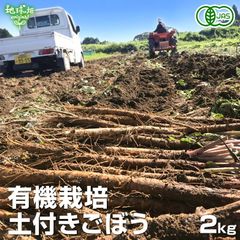 南阿蘇特産自然薯 2.2kg 自然薯 お歳暮 ギフト 南阿蘇産｜12/9発送