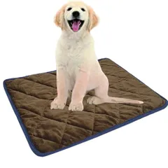 【人気商品】寒さ対策 冬小動物 布団 洗える 柔らかい 睡眠マット 消臭 物理的保温 滑り止め ホットマット 介護 ブランケット 小型 中型 ペット用 猫 猫 犬用 暖かい 丸ごと洗える マット 繰り返し使用可能 エコ 犬 制菌 ペットベッド 70*48CM